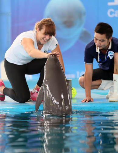 两人的配合 两人的配合