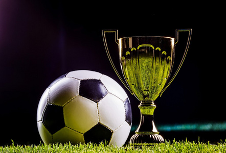 与观点总结 与观点总结